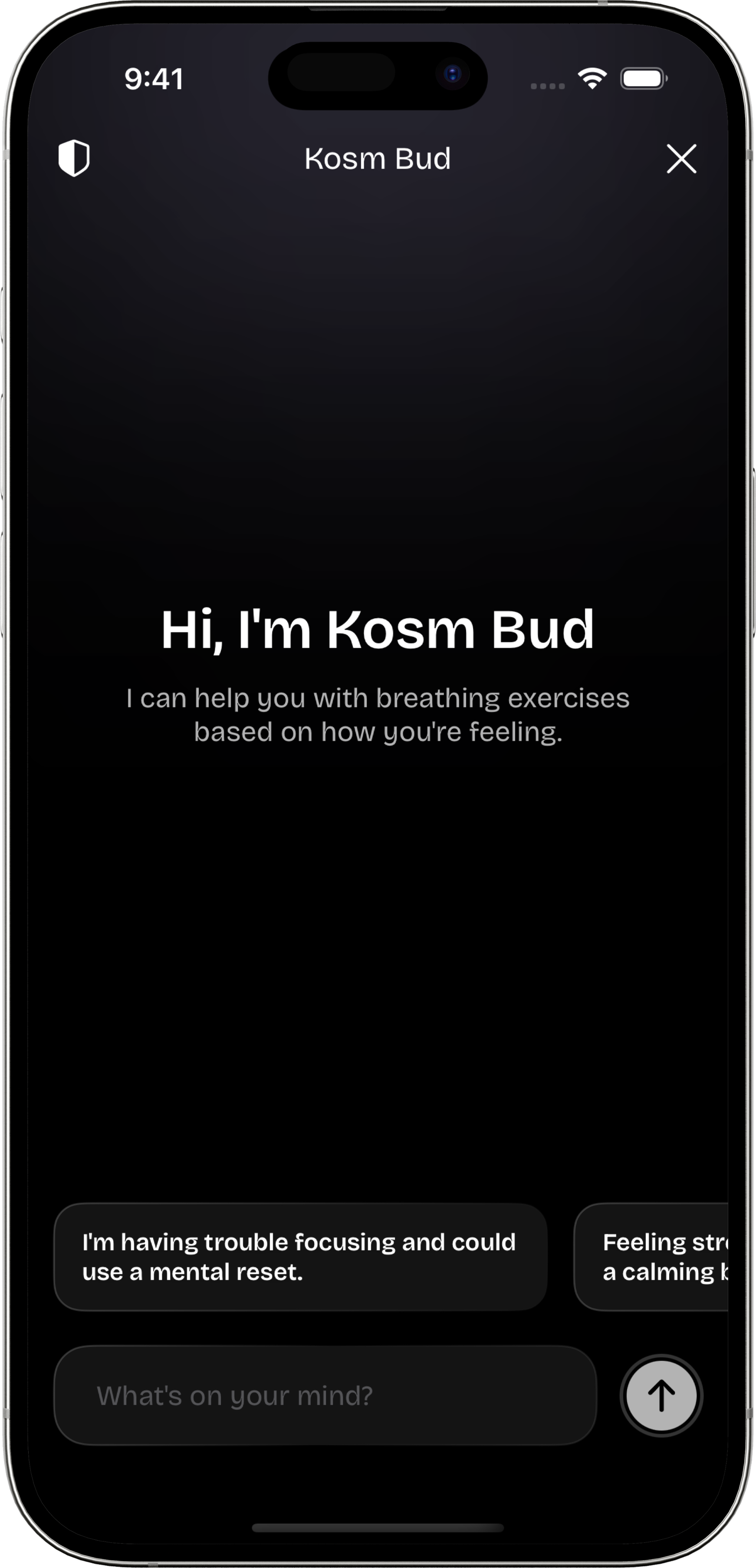 Kosm Bud